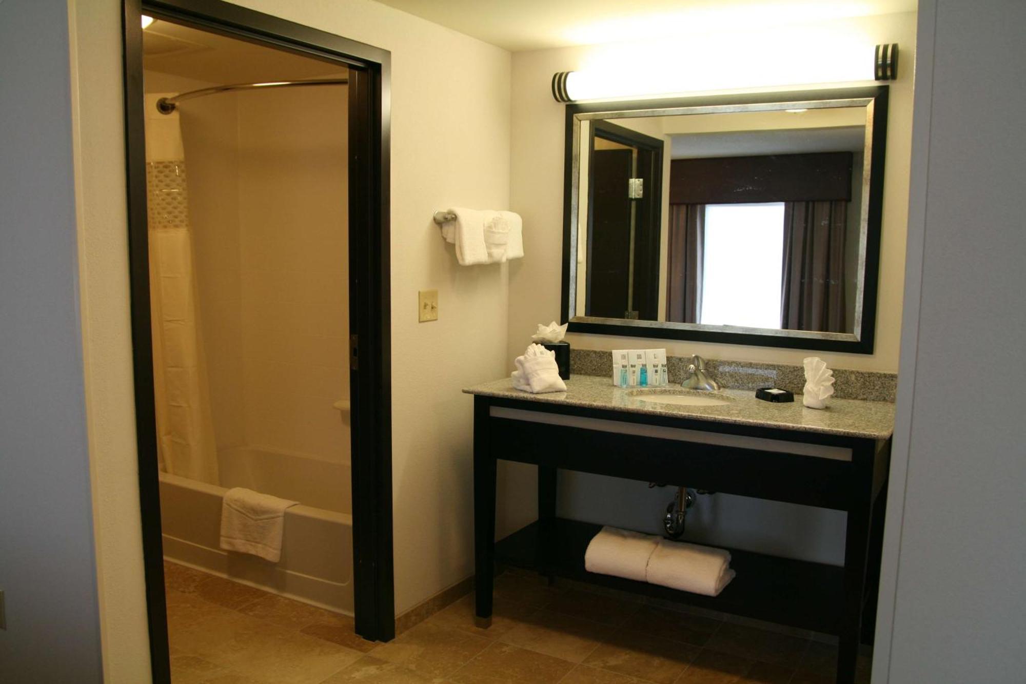 Hampton & Detroit/airport Hotel 3*