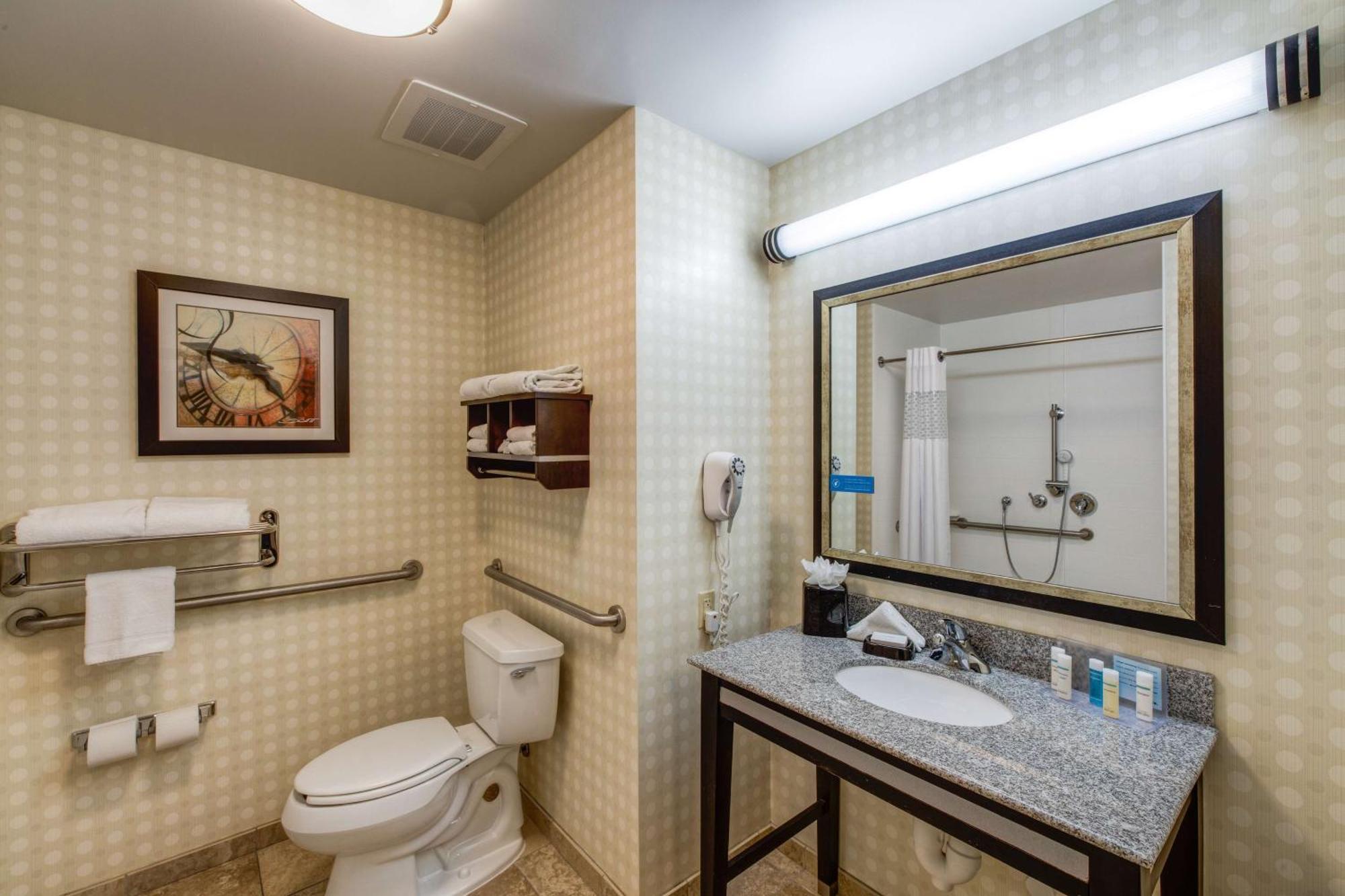 Hampton & Detroit/airport Hotel 3*