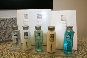 Hampton Inn&suites Detroit/airport 3*