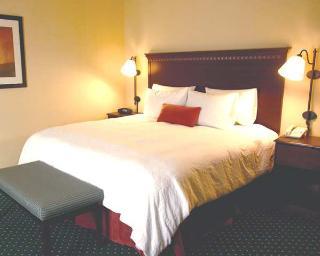 Hampton & Detroit/airport Hotel 3*