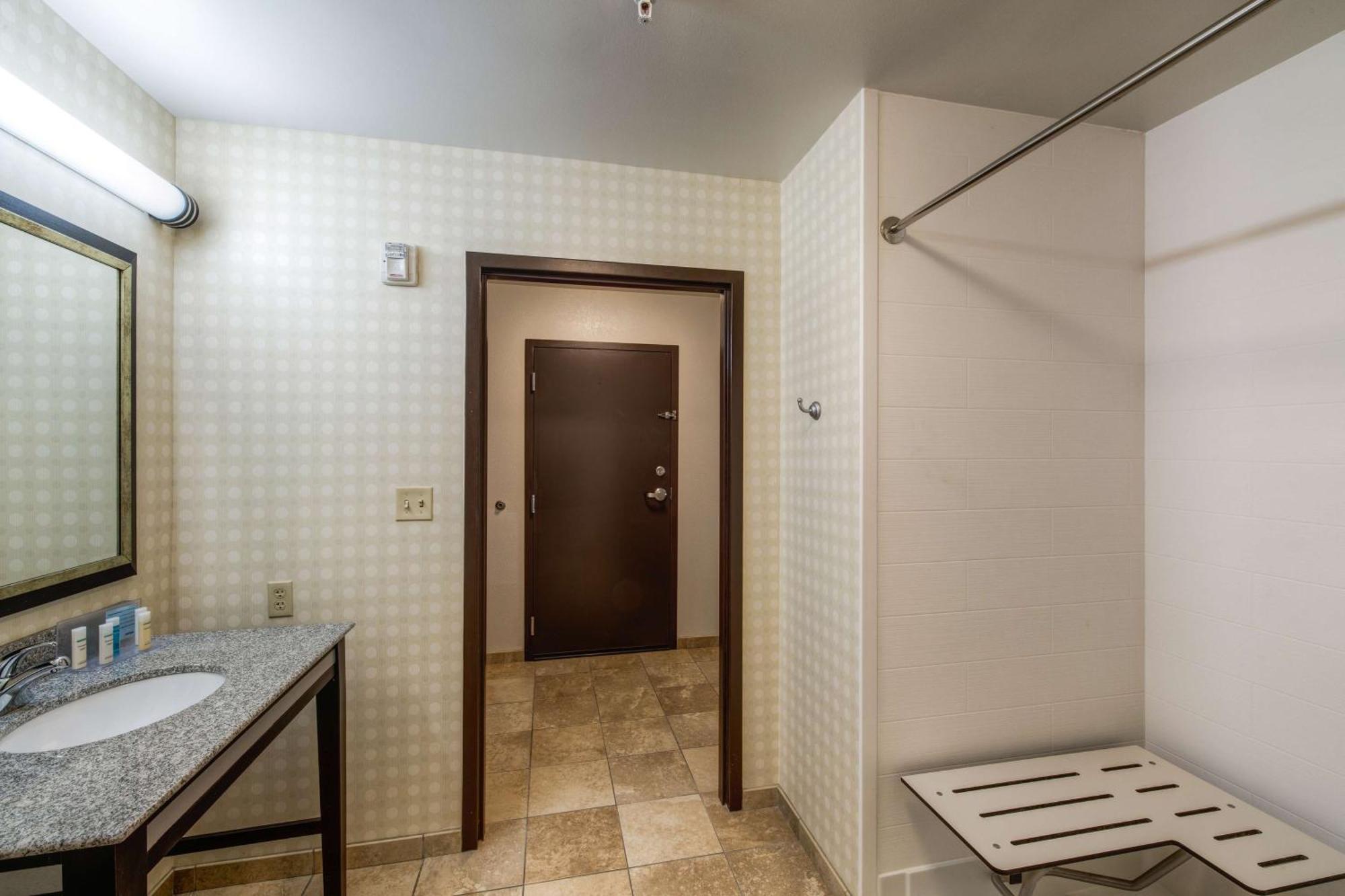 Hampton & Detroit/airport Hotel Romulus