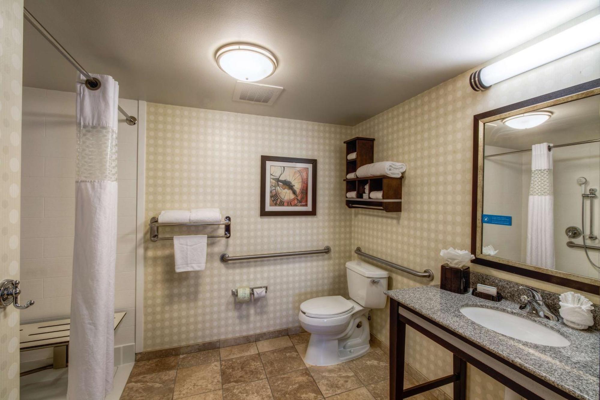 Hampton & Detroit/airport Hotel 3*